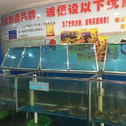 探訪南京市白下區(qū)王勇水產(chǎn)品經(jīng)營部—電話、地址、價格及營業(yè)時間全攻略